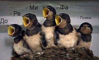 Эти животные умело кидают предъявы