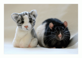 А с мышами он справится?