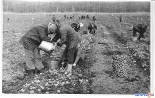 Созидатели и труженики Страны Советов