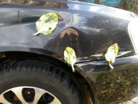 Подорожник забыли приложить! Я всегда так делаю - помогает)))