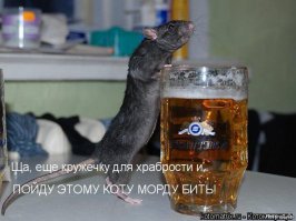 Робокот: идеальный питомец, которого не нужно кормить