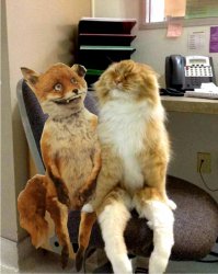 Они нашли друг друга.