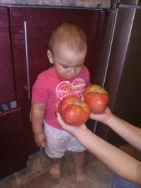 Мой муж кричал "кина не будет", мол не огород же, ничего не будет расти. И... выросло таки))