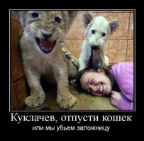 Эти животные умело кидают предъявы