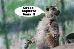 5 малоизвесных фактов о Японии