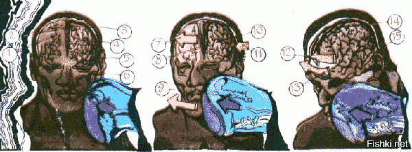 Случай в Кикбоксинг 