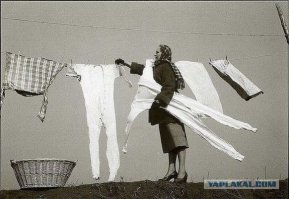 сибирская свежесть