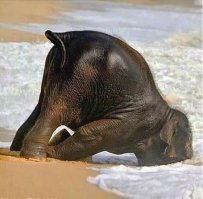 мыло??? Нивея???