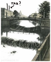 Просто бобры в Санкт-Петербурге