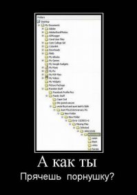 Смешные картинки для отличного настроения! 