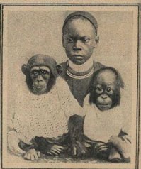 Всякая всячина. 9