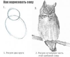 В России живём.Можно и переведенную картинку найти.