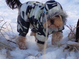 косточка есть? а если найду?