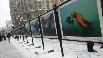 В Москве на Арбате открыта выставка подводных фотографов