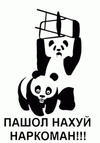 Всего 6% человек видят, что изображено на этой картинке. А вы можете?