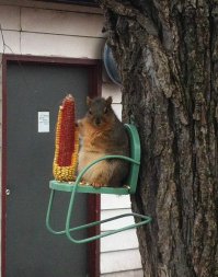 Фотоподборка за 22.01.2016