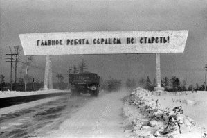 Очередная подборка автоприколов