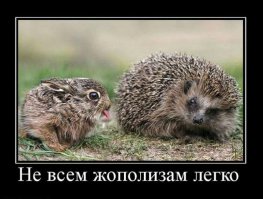 Эти животные умело кидают предъявы