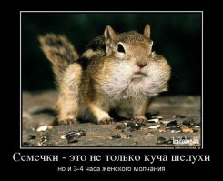 Наши любимые легальные наркотики 