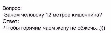 Смешные картинки для отличного настроения! 