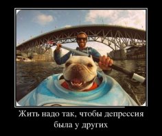 Бог создал собаку для того, чтобы человек узнал что такое верность 