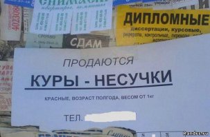 Смешные надписи и объявления