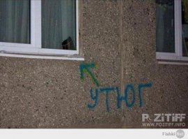 А меня в клочки порвало здесь же встреченное: