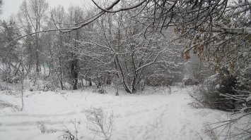 Наша зима. Сибирь, г. Новокузнецк