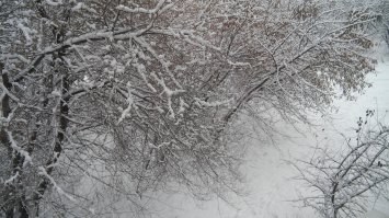 Наша зима. Сибирь, г. Новокузнецк