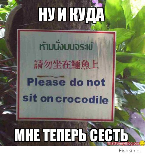 На крокодилов не садиться!
