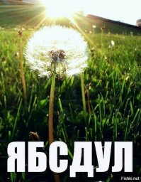 Энн Хэтэуэй - лучшее из фотосессий