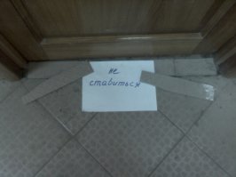 Сам фотографировал