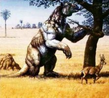 Жаль что больше нет таких вот ленивцев...