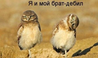 Два брата-акробата 