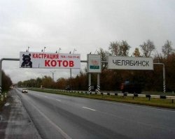 Там похоже не только котов могут.