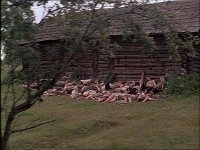 вот ещё один "весёлый" фильм