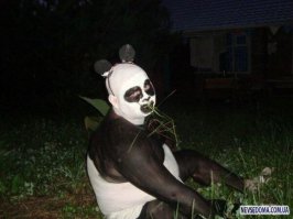 Панда пришла в восторг, увидев горы снега, и принялась кувыркаться в сугробе