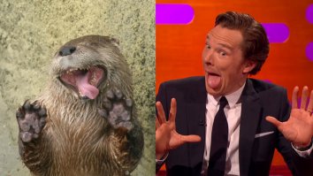 Животные-двойники известных личностей