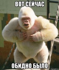 Животные-двойники известных личностей