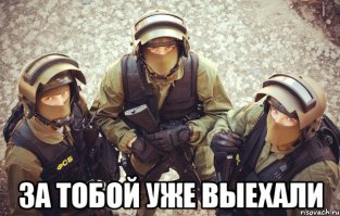 7 лучших комнатных растений для очистки воздуха в помещении