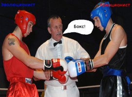 Мифы об эволюции