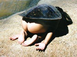 А теперь покатай меня, большая черепаха!