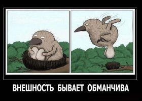 Демотиваторы про девушек