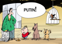 Солянка для Майдана. Часть 137