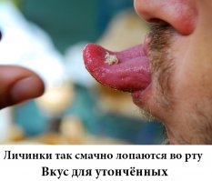 Больше всего отвращает Итальянский сыр с живыми личинками мух. От одной мысли выворачивает наружу