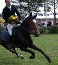 ... и не бояться попасть под лошадь (с)