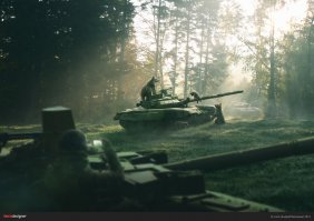 Фотошоп в сосновом лесу