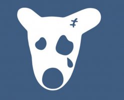 Черепа неизвестных существ из коллекции тайного сообщества СС, найденной в Адыгее