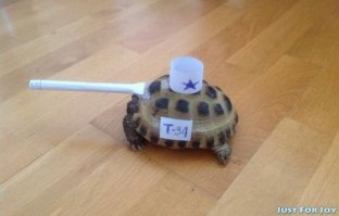 Мой хозяин идиот