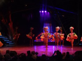 Купил картину,  с Кубы очень хорошая, но шоу Тропикана не впечатлило...Сигары покапал прям с фабрики по 1 куку штука (1 кук =1$)